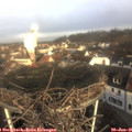 09_10-nest.jpg