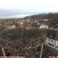 09_35-nest.jpg