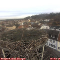 09_40-nest.jpg