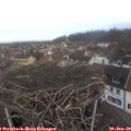 10_05-nest.jpg