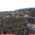 10_15-nest.jpg