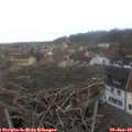 10_20-nest.jpg