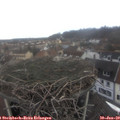 10_35-nest.jpg