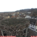 10_55-nest.jpg