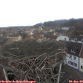 11_00-nest.jpg