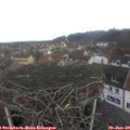 11_05-nest.jpg