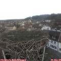 11_10-nest.jpg