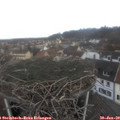 11_20-nest.jpg