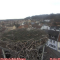 11_35-nest.jpg