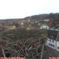 12_00-nest.jpg