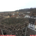 12_05-nest.jpg