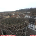12_10-nest.jpg