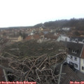12_30-nest.jpg