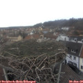 12_35-nest.jpg