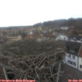 13_00-nest.jpg