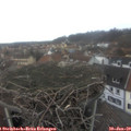 13_05-nest.jpg