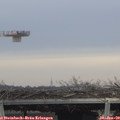 13_15-mast.jpg