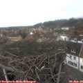 13_15-nest.jpg