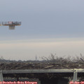 13_20-mast.jpg