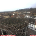 13_20-nest.jpg
