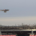 13_25-mast.jpg