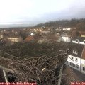 13_25-nest.jpg