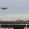 13_30-mast.jpg