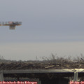 13_35-mast.jpg