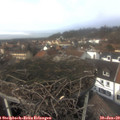 13_35-nest.jpg