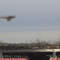 13_40-mast.jpg