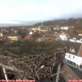 13_40-nest.jpg