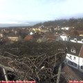 13_45-nest.jpg