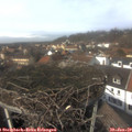13_50-nest.jpg