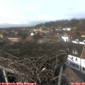 13_55-nest.jpg