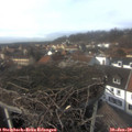 14_00-nest.jpg