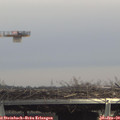 14_05-mast.jpg