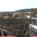 14_05-nest.jpg
