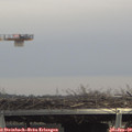 14_10-mast.jpg