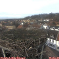 14_10-nest.jpg