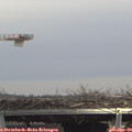 14_15-mast.jpg