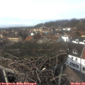 14_15-nest.jpg