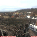 14_20-nest.jpg