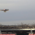 14_25-mast.jpg