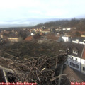 14_25-nest.jpg