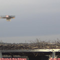 14_30-mast.jpg