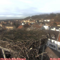 14_30-nest.jpg