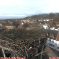 14_35-nest.jpg