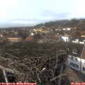 14_40-nest.jpg
