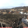 14_45-nest.jpg