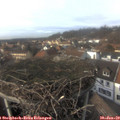 14_50-nest.jpg